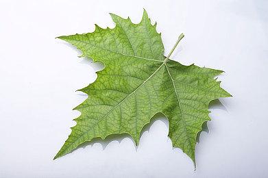 下周部分国家地区无法领取Epic免费游戏 国区不受影响